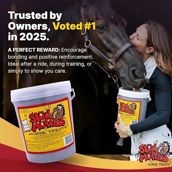 60oz Horse Treats Bucket - 4lb Stud Muffins Horse Treats Bulk Pack