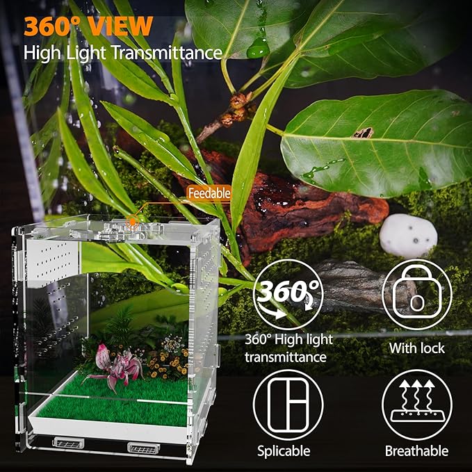 Acrylic Jumping Spider Enclosure, Insect Terrarium, Praying Mantis Habitat, Bug Enclosure, Arboreal Tarantula Enclosure Kit, Reptile Cage, Scorpion Lizard Tank (4.45 * 4.94 * 5.71in)