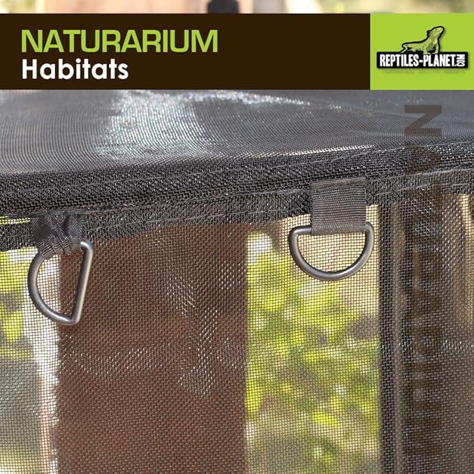 Reptiles-Planet Naturarium Terrarium, Medium, 75 x 45 x 75 cm