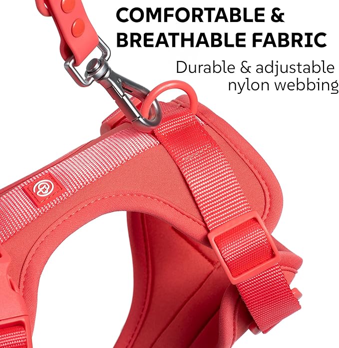 Dog Harness, Collar & Leash Set, Adjustable No Pull Harness with 3 Leash Clips, Waterproof Matching Collar & Leash, Breathable Comfort (Red Watermelon, Medium)
