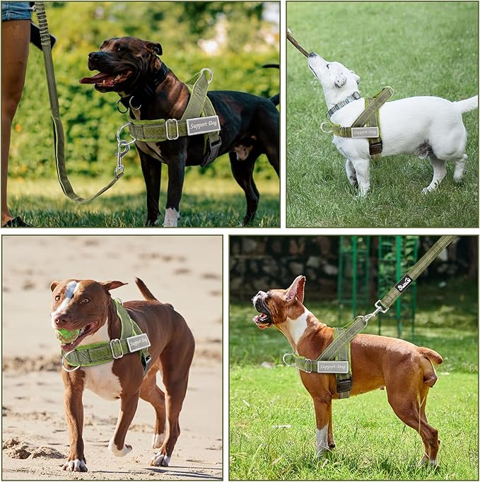 SlowTon No Pull Dog Harness - Heavy Duty Dog Harness and Leash Set for Medium Large Dogs, Reflective Tactical Harness with Soft Padded and Front Clip for Easy Walk and Training (GR, M)