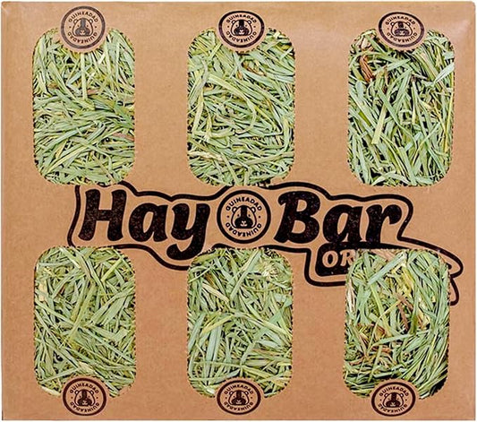 GuineaDad Guinea Pig Orchard Hay Bar – 5 Pack of Guinea Pig Hay – Premium Hay for Guinea Pigs, Rabbits, and Chinchillas – Filtered, Fresh, and Easy to Feed