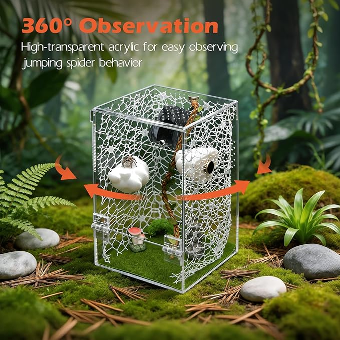AZV Large Jumping Spider Enclosure Clouds Kit,Escape Proof Praying Mantis Habitat,Magnetic Front Door Tarantula Cribs Ventilation Spider Cage,Transparent Acrylic Reptile Tank,Bug Terrarium,Snail House