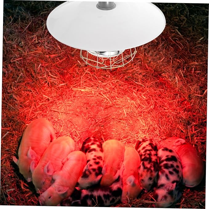 BESPORTBLE Reptile Warm Keep Lamp Pet Warming Light Breeding Heating Lamp Poultry Heat Preservation