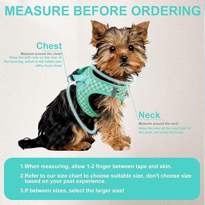 AIITLE No Pull Dog Harness and Leash Set, Step in No Chock Soft Mesh Dog Harnesses Reflective for Extra-Small Puppy Dogs and Cats, Plaid Dog Vest Harness for Pets Turquoise XXS