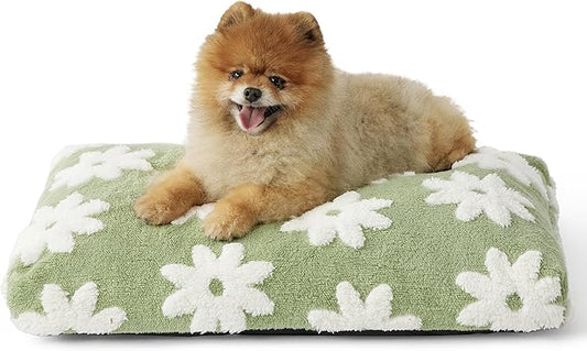 LE SURE Small Dog Beds-Thick Shredded Chopped Foam Pet Bed Gift Indoor with Removable Cover, Cute Modern Fuzzy Plush & Anti Slip Bottom, Green