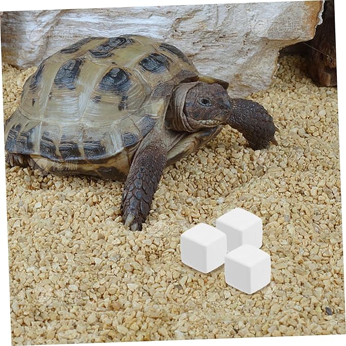 Abaodam 6pcs for Reptiles and Crabs Natural Molar Cubes for Enhanced Digestion and Mineral Supply Lightweight Chew Toys for Terrariums and Aquariums
