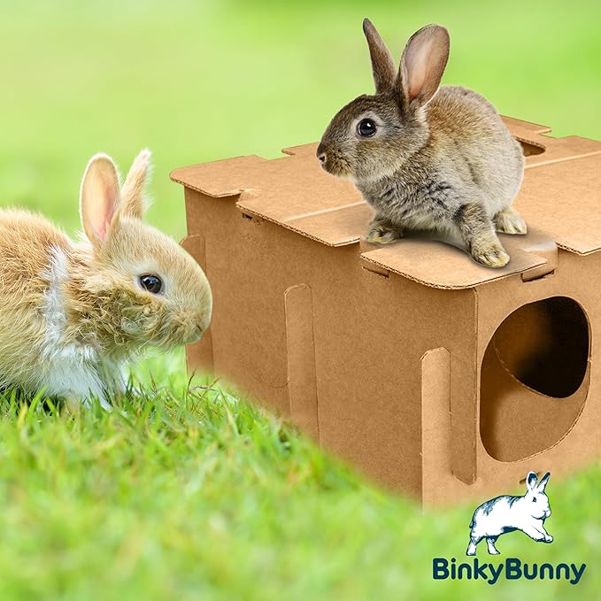 BINKYBUNNY Mini Haven - Rabbit Hideouts & Play Structure for Indoor Bunnies & Chinchillas