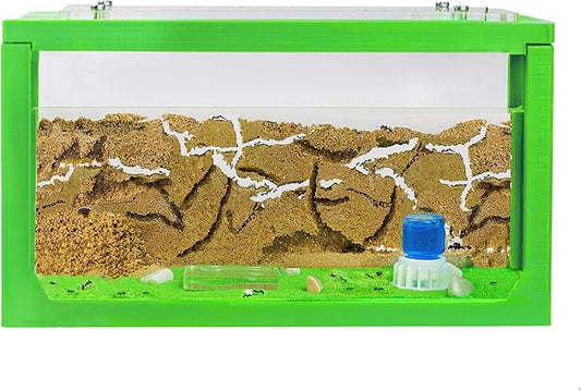 Anthouse.ES - 3D Aquarium-Style Natural Ant Farm - Sand Ant Farm - Complete Kit with Sand and Accessories - Starter Model 20x10x10 cm - Green Color