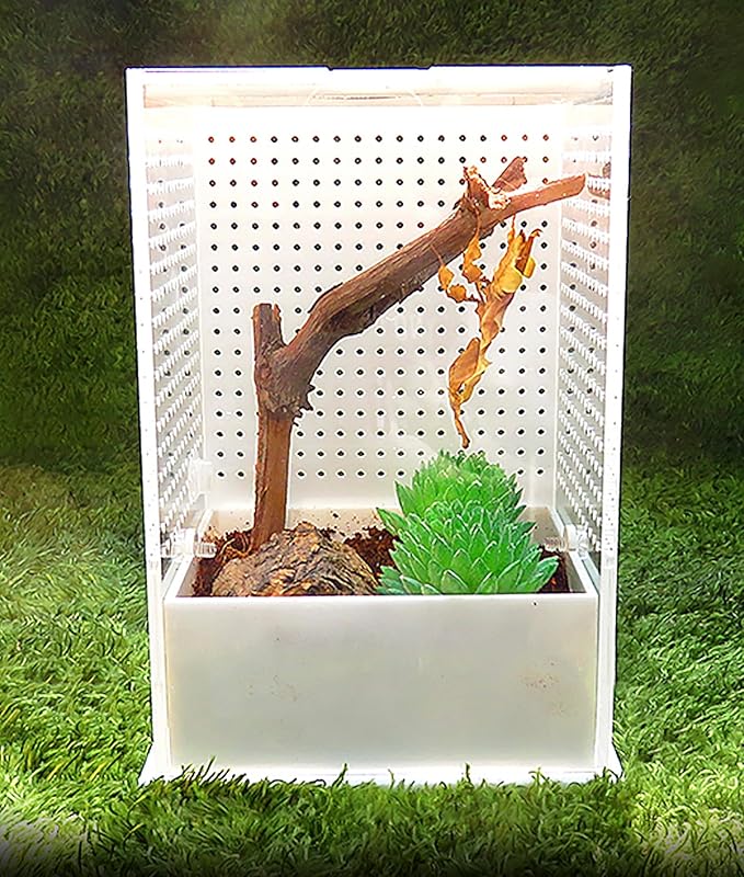 OMEM Reptile Breeding Box, Insect Incubator, for Orchid Mantis, African Phantom Mantis, Reptile Resting Habitat and Entertainment