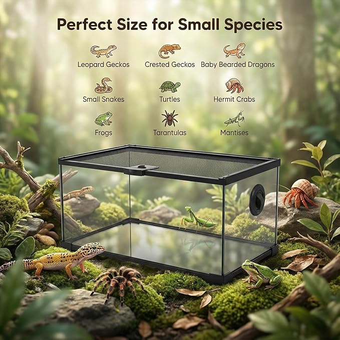 10 Gallon Reptile Tank: 20x12x10 Leopard Gecko Tank with Sliding Screen Top - Glass Terrarium with Lockable Lid for Small Lizard Snake Turtle Hermit Crab Habitat - Desert Dedcor Accessories