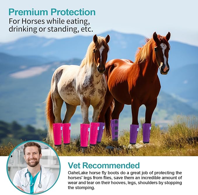 Mesh Horse Fly Boots Set of 4, Loose Fitting Leggings for Horses, Reduce Stressful Stomping, Breathable Adjustable and Universal Fit for 4 Legs, Reliable Stay Put (Purple)