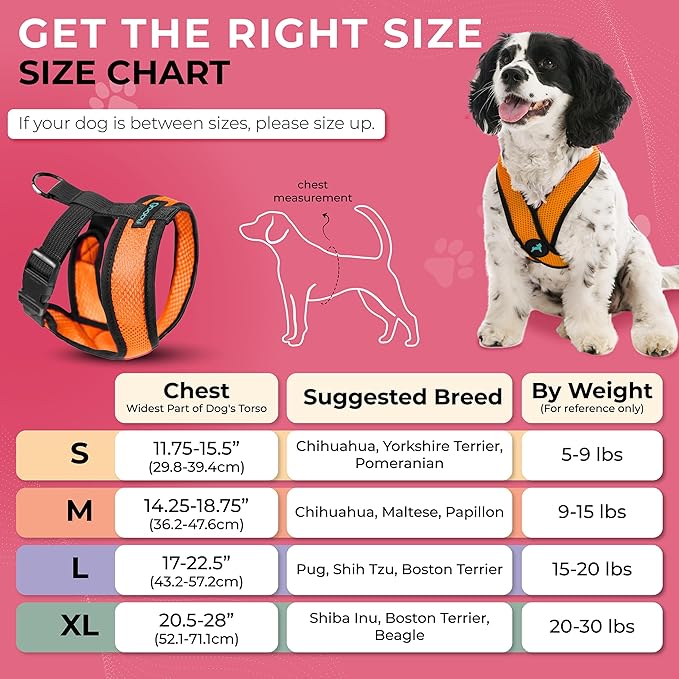 Gooby Comfort X Head in Harness - Orange, Medium - No Pull Small Dog Harness Patented Choke-Free X Frame - On The Go Dog Harness for Medium Dogs No Pull or Small Dogs for Indoor and Outdoor Use
