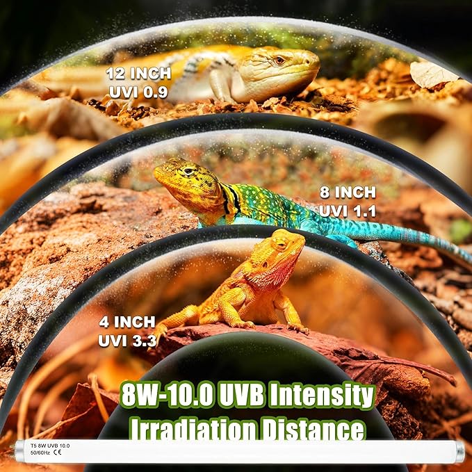 T5 HO UVB 10.0 Reptile Replacement Tube, 8W 12 in Linear Fluorescent Lamp, for Tropical Reptiles