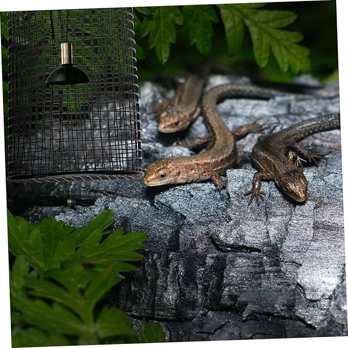 POPETPOP Pet Supplies Reptile Heat Lampshade Anti-Scald Cover for Reptile Lights