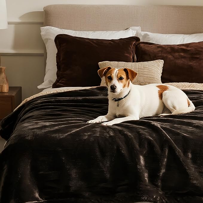 gogobunny Waterproof Bed Blanket, Reversible Sherpa Fleece Throw Blanket for Dog Puppy Cat, Furniture Cover Protects Bed Couch Sofa from Liquid Pee and Pet Fur (Dark Brown, 90x90 inches)
