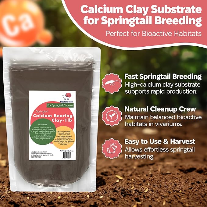 Snout and Shell Springtail Calcium Bearing Clay - 1 lb | Ideal for Culturing Springtails, Reptile and Amphibian Terrariums, and Natural Habitat Cleanup Crew