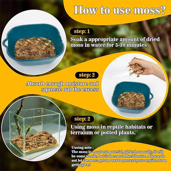 RAINFLOW Sphagnum Moss for Reptiles - 5.6 OZ Reptile Peat Moss for Terrarium Bedding Reptiles Snake Substrate for Reptile Tank, Snake, Leopard Gecko, Ball Python, Crested Gecko, Turtle, Frog, Hamster