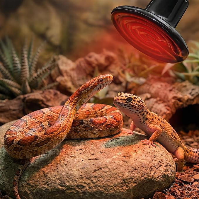 2Pcs 100W Reptile Heat Lamp Ceramic Emitter, Ceramic Heat Lamp for Cats, Chickens, Parrots, Reptiles and Small Animals (Black Mini 110V 100W)