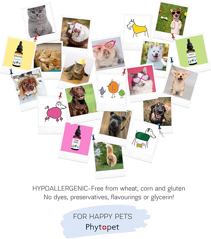 PhytoPet Life Drops | Natural Herbal Stimulant for Newborn & Elderly Pets | Ideal for Puppies, Kittens, Birds, Foals | 10ml