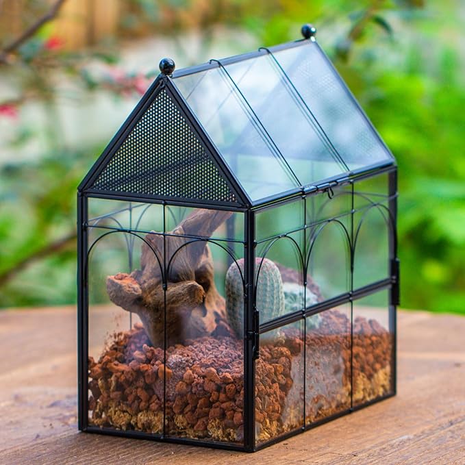 NCYP Glass Enclosure with Vent Holes for Jumping Spiders, Praying Mantis, Small Insect - 7.5" x 4.9" x 9" Front Opening Door Vented Glass Terrarium - House Shape, Home Decor, Black (Terrarium Only)