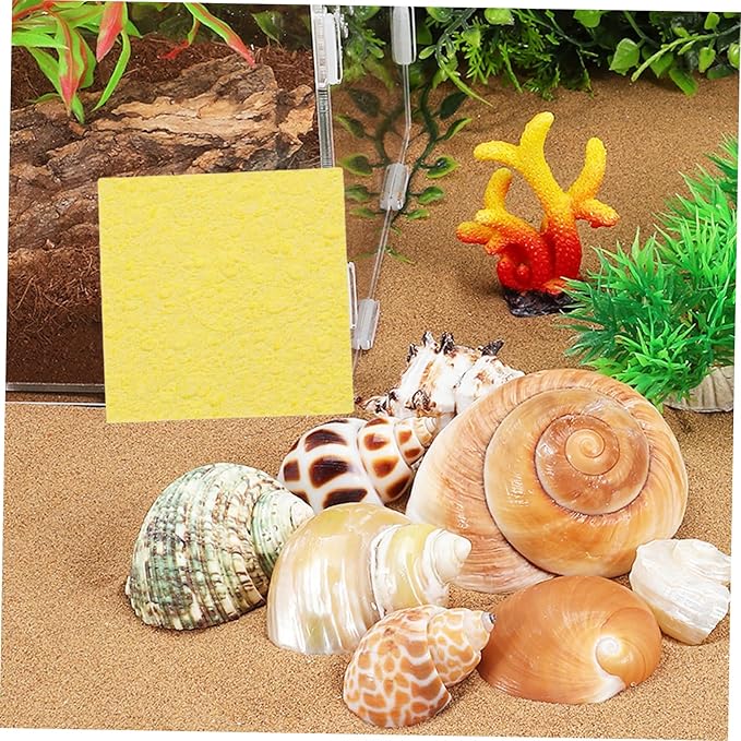 POPETPOP 20pcs Square Sea Sponges for Crab Habitat Humidity Control Natural Unbleached Sponges for Maintaining Moisture Reptile Tanks Eco-Friendly Crab Supplies