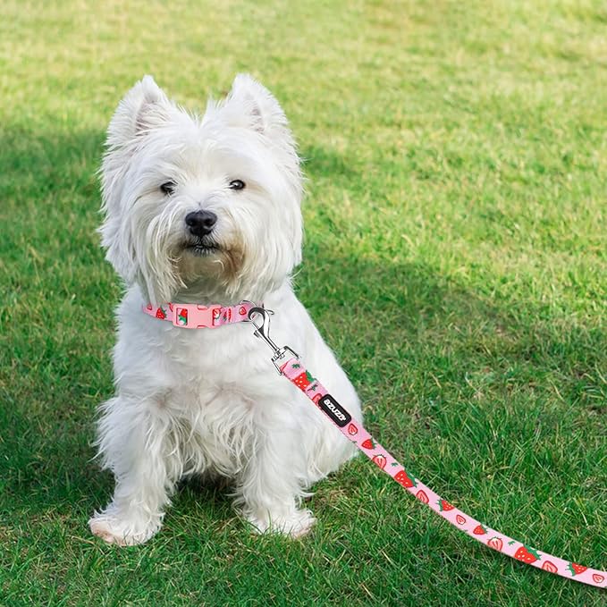 azuza Fruit Dog Collar and Leash Set, Collar Nylon and Matching Leash, Great Option for Large Dogs, Strawberry, L (Neck: 18"-26")