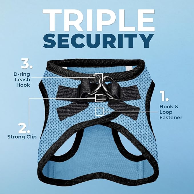 Best Pet Supplies Voyager Step-in Air All Weather Mesh Harness and Reflective Dog 5ft Leash Combo with Neoprene Handle, for Small, Medium and Large Breed Puppies - Set (Baby Blue/Black Trim), X-Large
