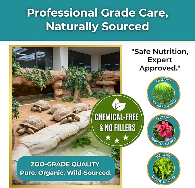 Sulcata Tortoise Calcium Powder - Herpetologist Formulated Calcium Powder for Reptiles with High Fiber - 30 Day Shaker Bottle Supply for Tortoise Lovers!