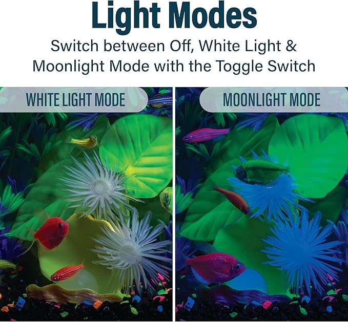 GloFish Betta Trilogy Aquarium, 3 Gallons, Includes LED Lights and Filter