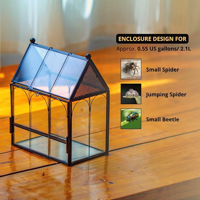 NCYP Small Glass Terrarium Enclosure with Mesh for Jumping Spiders, Micro House Shaped Small Spiders Vented Glass Terrarium, Home Decor Black, 5.8" x 3.8" x 7" (No Plants)