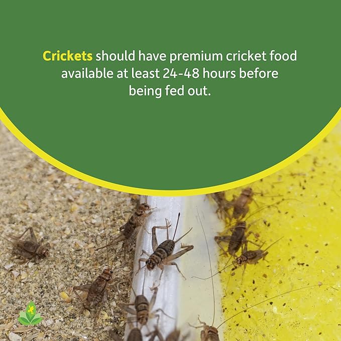Josh's Frogs Premium Cricket Cuisine Cricket Gutloading Food (24 oz)