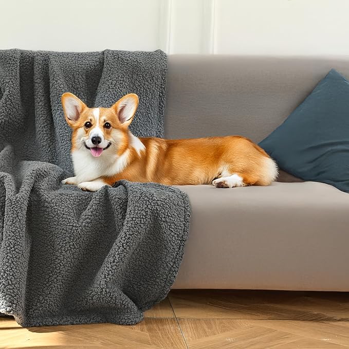 Amazon Basics Dog Blanket for Sofa Bed Couch, Washable Reversible Fleece Furniture Protector Cover for Small Medium Large Dogs Cats, Gray, 57x40 Inches