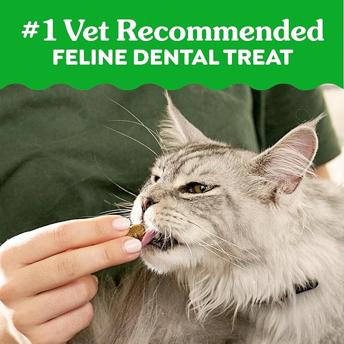 Greenies Feline Natural Dental Cat Treats, Tempting Tuna Flavor, 4.6 oz - Image 3