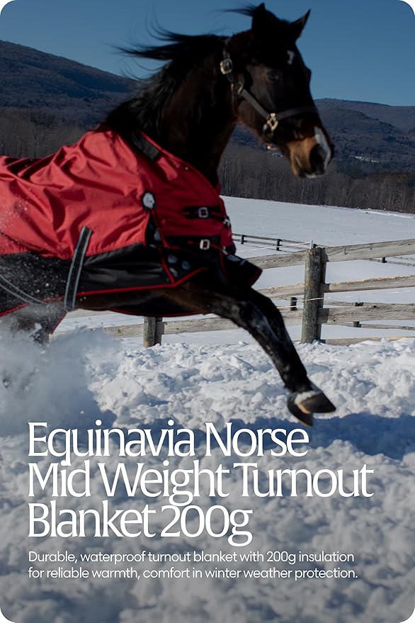 Equinavia Norse 200g Medium Weight Horse Blanket | Waterproof Winter Turnout - Black - 66 in - Equestrian Red - 75 in