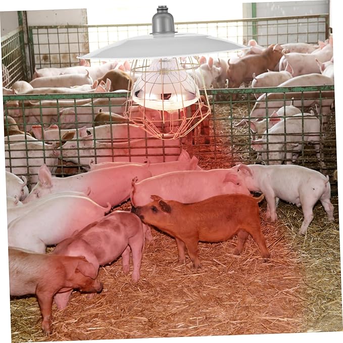 BESPORTBLE Portable Pet Heating Lamp Livestock Heat Lamp for Puppies Chicken Coop