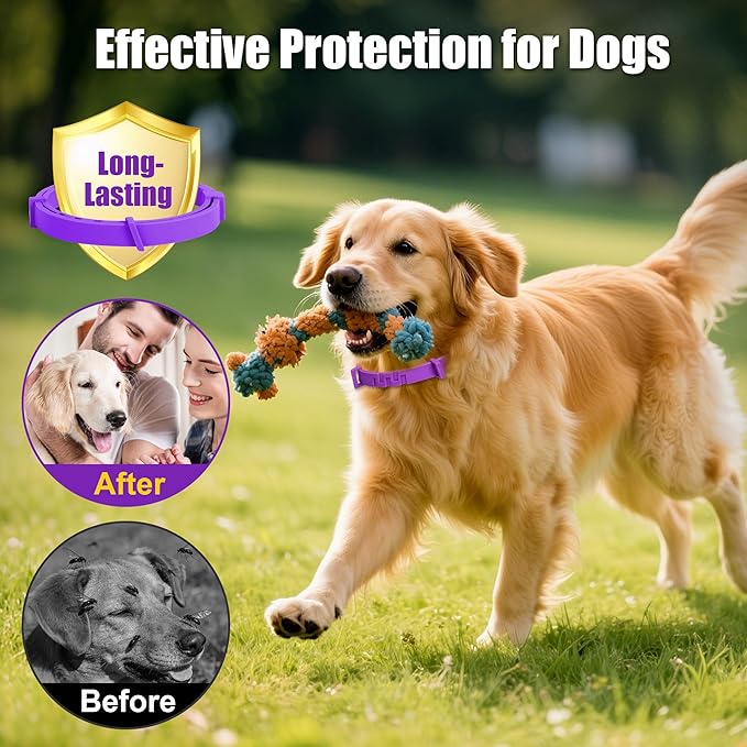 4 Pack Flea Collar for Dogs, 25 inch Adjustable Flea & Tick Prevention Collars with Comb for Small Medium and Large Dog, Waterproof Flea Control Collar Safe for All Breeds, Purple