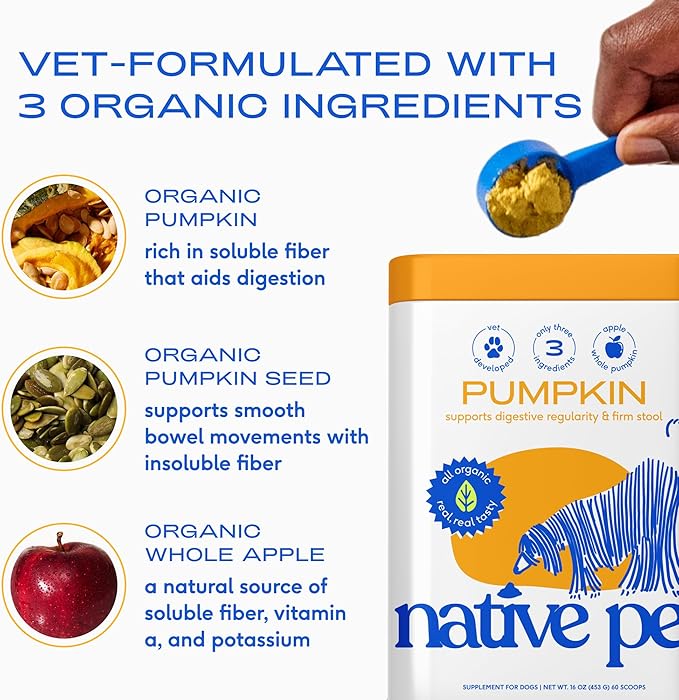 Native Pet Pumpkin for Dogs - Organic Dog Food Topper Powder - Promotes Firm Stools, Supports Digestive, Bowel Health & Nutrient Absorption - USDA Organic, Rich in Fiber with Real Pumpkin -120 Scoops