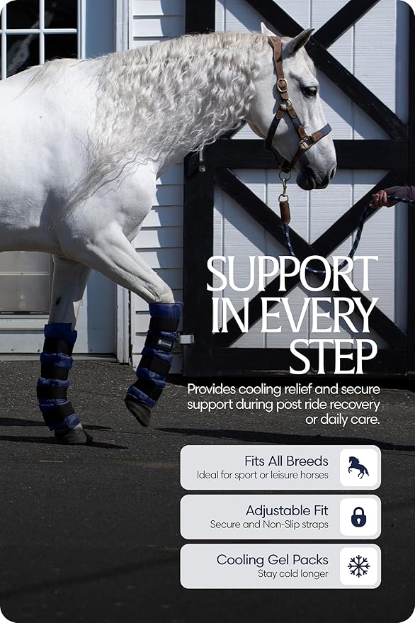 Equinavia Cool Relief Therapy Ice Boots Leg Wraps Pair for Horses, Gel Pack with Adjustable Straps | 16.5" x 15.5" with Storage Bag - Navy Blue - Pair - One Size