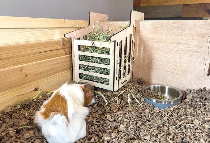 Zylina Healthy Habitat for Guinea Pigs