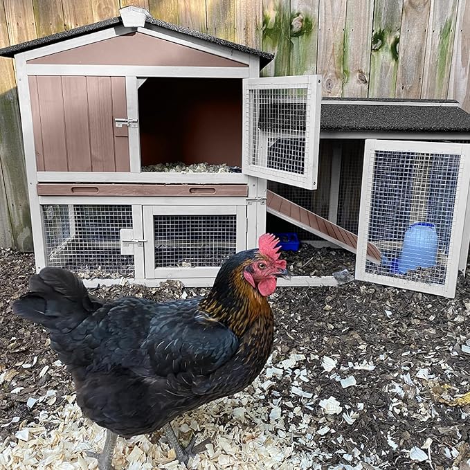 Chicken Coop Outdoor, Wooden Chicken House with Leakproof Tray and Waterproof Roof, Small Chicken Coops for 2 Chickens, Duck House, Rabbit Hutch (Brown)