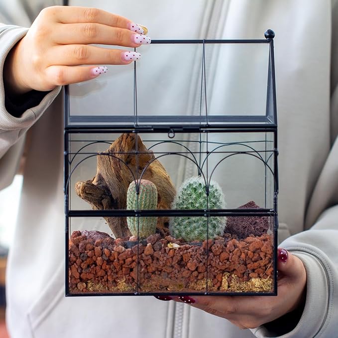 NCYP Glass Enclosure with Vent Holes for Jumping Spiders, Praying Mantis, Small Insect - 7.5" x 4.9" x 9" Front Opening Door Vented Glass Terrarium - House Shape, Home Decor, Black (Terrarium Only)