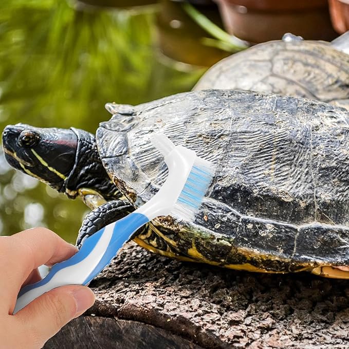 SHOWERORO 2Pcs Turtle Shell Cleaning Brush Double-Head Portable Dirt Remover Household Small Multi-Functional Reptile Health Supplies for Tortoise Shell Maintenance
