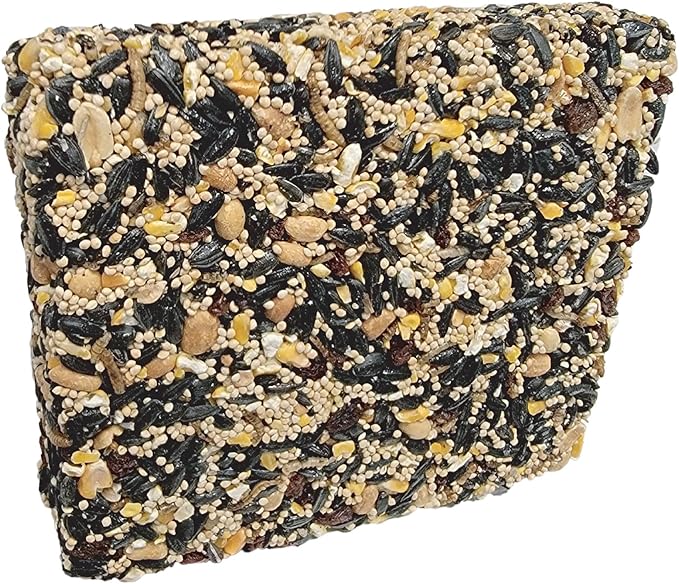 Wildlife Sciences Songbird Feast Large Seed Cakes | 1.5-2 lb Large Bird Seed Cakes for Wild Birds (Pack of 4)