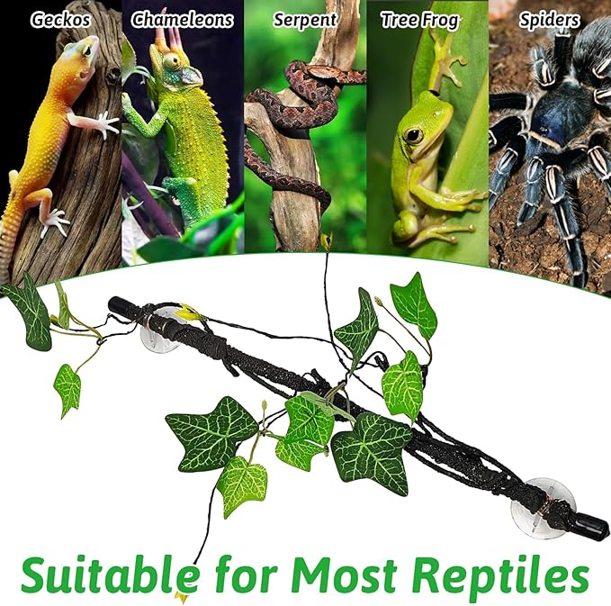 PINVNBY 2 PCS Snake Climbing Branch, Flexible Jungle Reptile Vine with Suction Cup Gecko Climb Tree Branches Chameleons Cage Accessories for Lizards,Tree Frog, Crested Gecko,Snake Enrichment（Green）