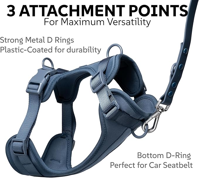 Dog Harness, Collar & Leash Set, Adjustable No Pull Harness with 3 Leash Clips, Waterproof Matching Collar & Leash, Breathable Comfort (Blue, Medium)