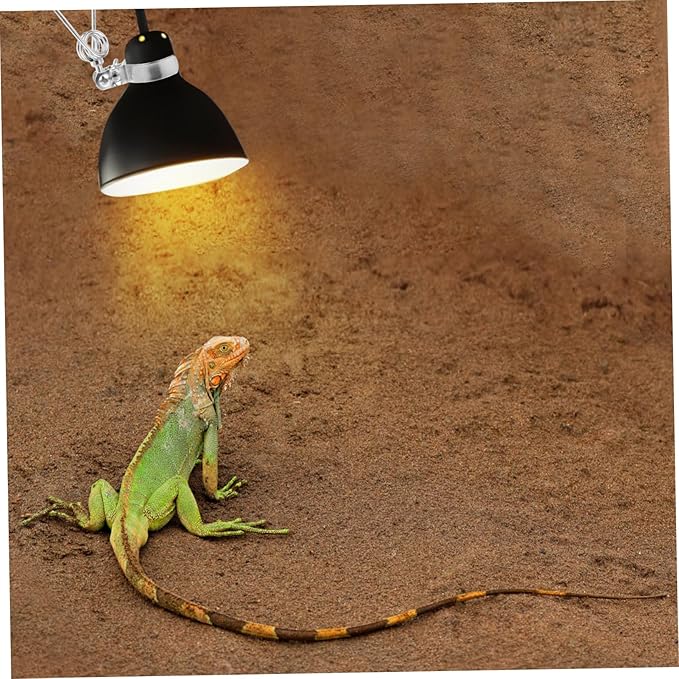 Toddmomy 6pcs Adjustable Reptile Lamp Stand Fixture for Heat Lamps Flexible Clamp Design for Fish Tanks and Aquariums Holder for Reptile Heating Light Installation
