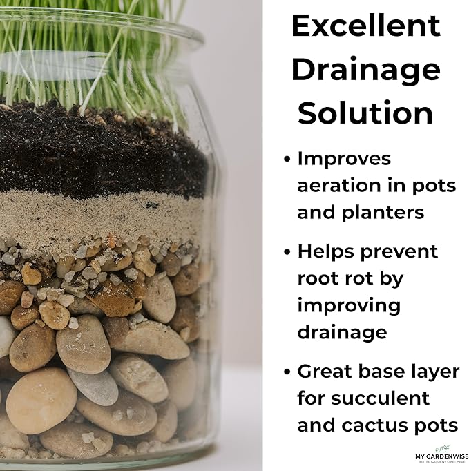 GARDENWISE Fine Sand for Plants – Horticultural Sand for Succulents, Cactus, Potting Mixes, Terrariums & Decorative Indoor Gardens, Made in USA (3 quarts - 8.4 lbs)