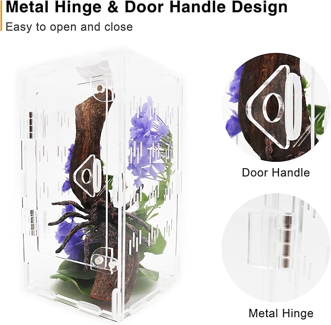 Jumping Spider Enclosure, Spider Terrarium, Acrylic Enclosure Kit, Small Terrarium, Insect Habitat for Spiders, Praying Mantis, Arboreal Tarantula, Bug, Frog, Snail, Lizard and Small Reptiles
