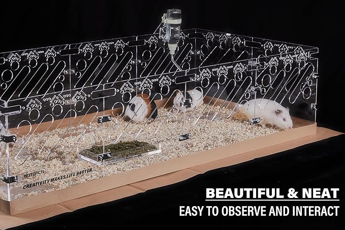 Acrylic Guinea Pig Cages - 4x2ft Small Animal Cage | DIY Extendable | Easy-to-Clean Disposable Bottom (Without Lid)